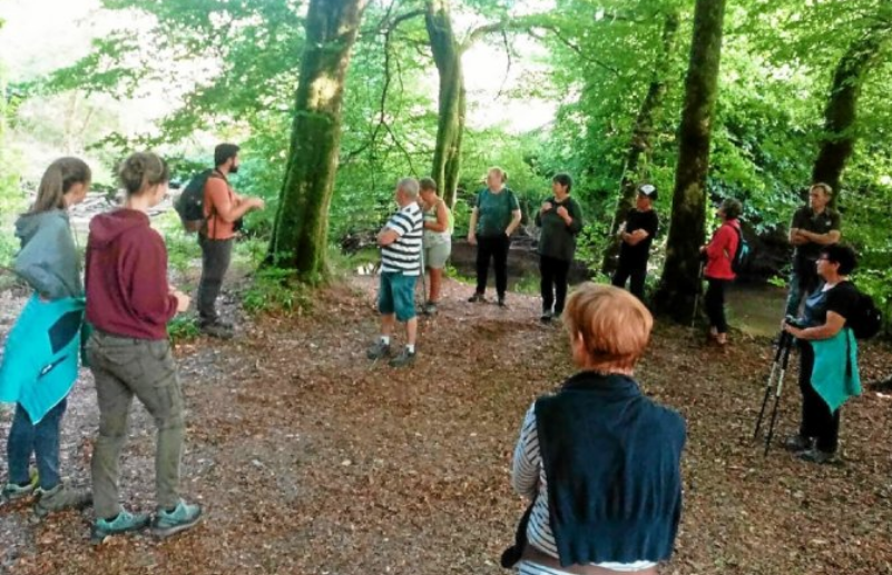 Mignoned Sant Roch à Plounévez-Quintin randonnée en sous-bois pour 20 marcheurs