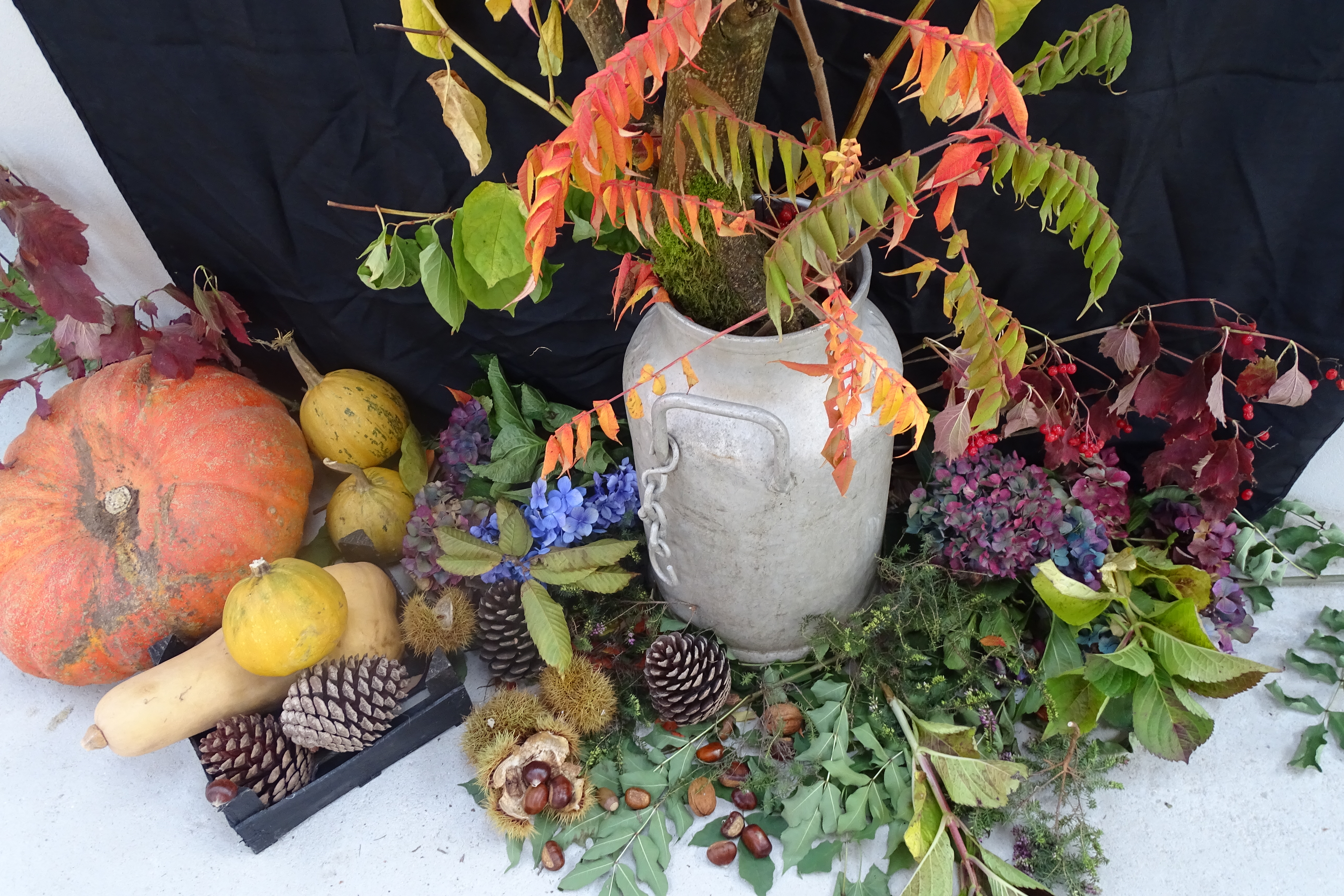 Gouel Diskar Amzer | La fête de l'automne